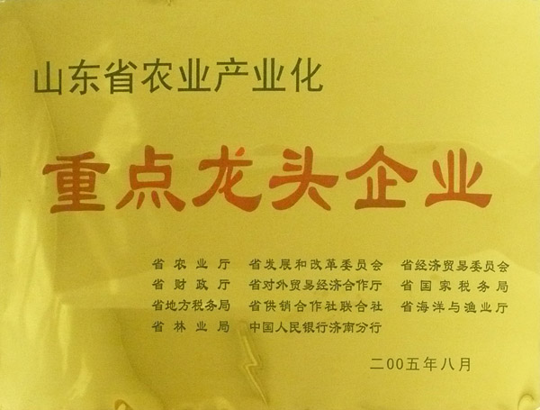 重點龍頭企業(yè).jpg