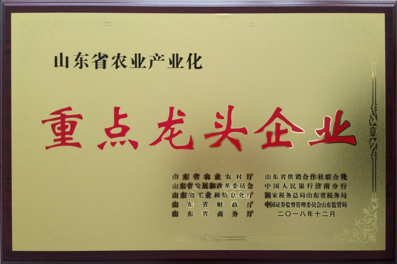 重點(diǎn)龍頭企業(yè)2.jpg