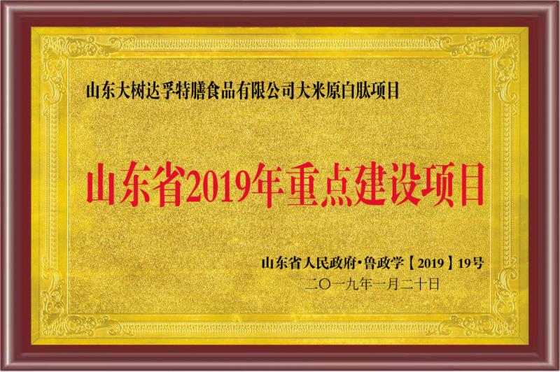 山東省2019年重點(diǎn)建設(shè)項(xiàng)目.jpg